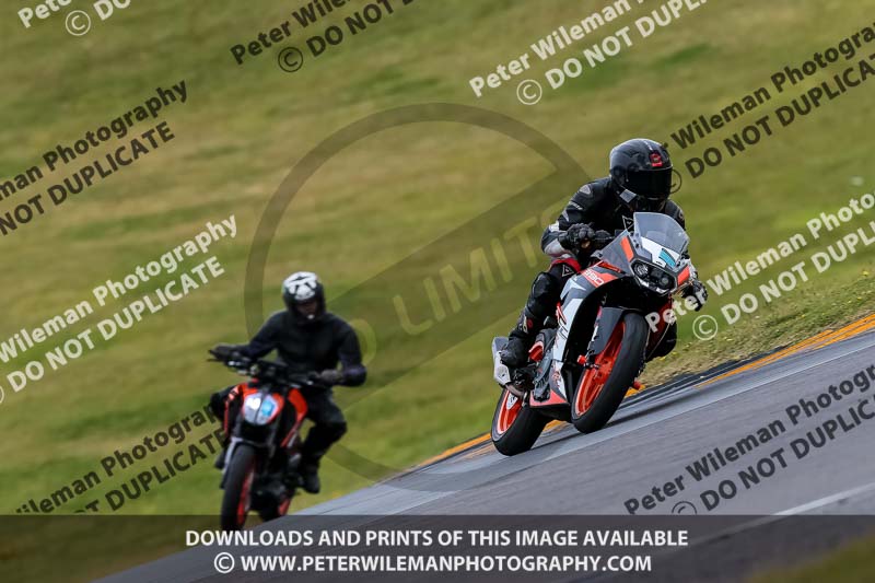 PJ Motorsport 2019;anglesey no limits trackday;anglesey photographs;anglesey trackday photographs;enduro digital images;event digital images;eventdigitalimages;no limits trackdays;peter wileman photography;racing digital images;trac mon;trackday digital images;trackday photos;ty croes